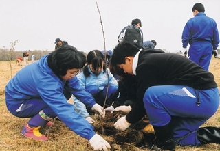 第11回シマフクロウの森づくり百年事業植樹祭の様子を写した写真