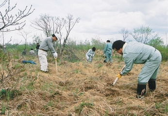 第3回虹別萩野魚付保安林再生事業植樹の様子を写した写真