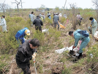 第5回虹別萩野魚付保安林再生事業植樹の様子を写した写真