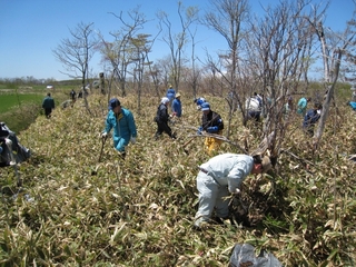 第6回虹別萩野魚付保安林再生事業植樹の様子を写した写真