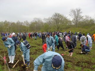 厚岸水源涵養の森植樹の様子を写した写真