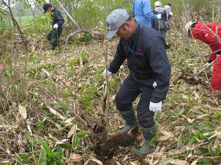 第8回虹別萩野魚付保安林再生事業植樹の様子を写した写真