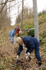 第12回町内クリーン作戦の様子を写した写真