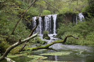 大滝