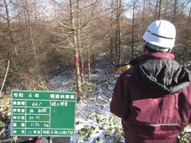 保育間伐