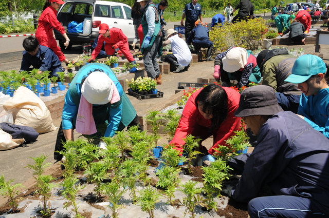 釧路空港線の花壇の花植え