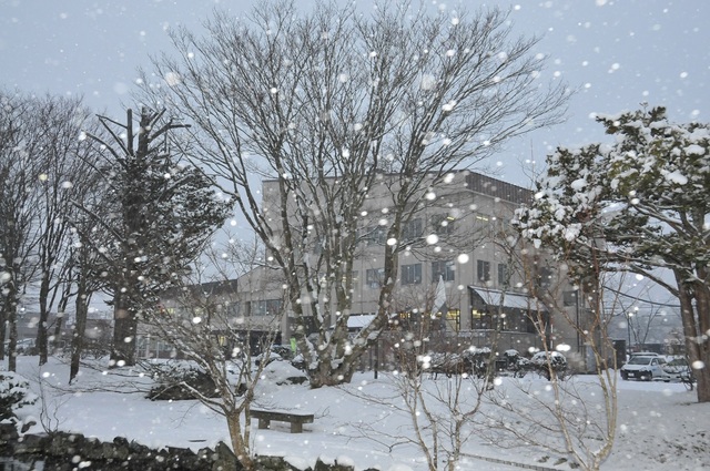 雪が積もりました